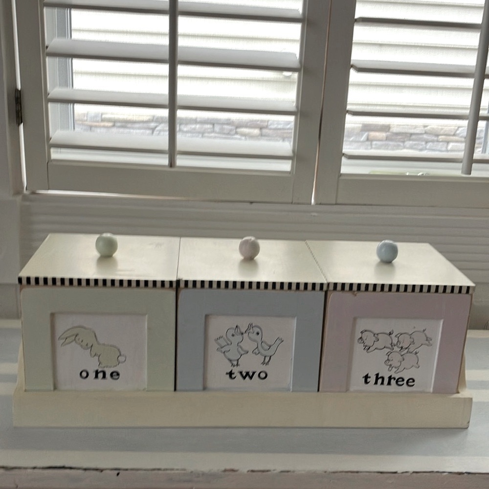 Child’s Pastel Storage Boxes (3) with lids In Animal Designs In Tray.